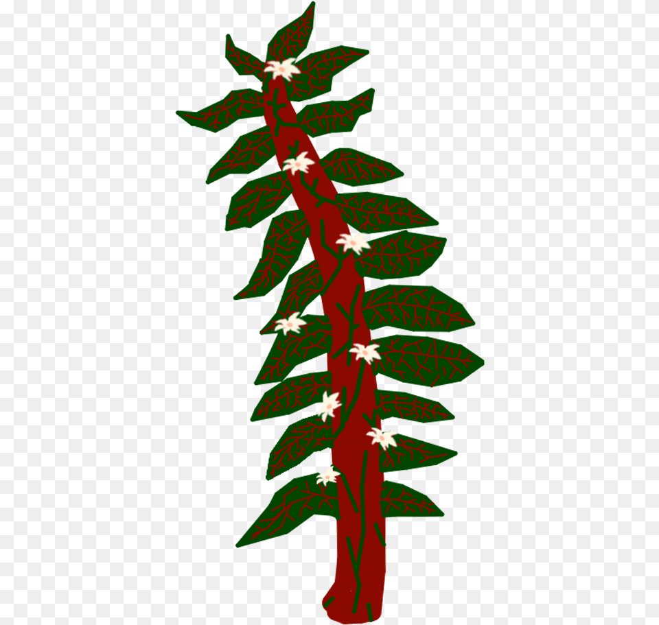 Wings Of Fire Wiki, Plant, Tree, Christmas, Christmas Decorations Free Transparent Png