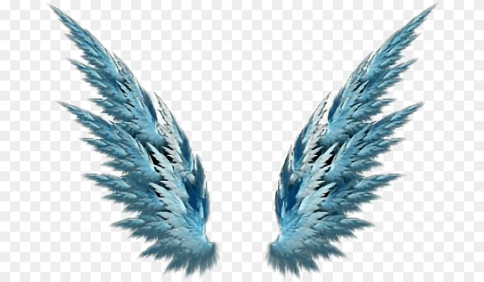 Wings Of Freedom Angel Wings Tgat Go Up, Ice, Animal, Bird, Accessories Free Png Download