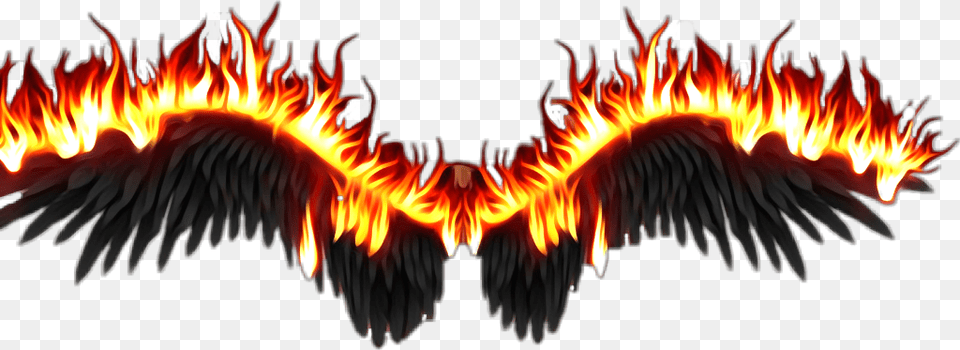 Wings On Fire, Flame, Bonfire Free Transparent Png