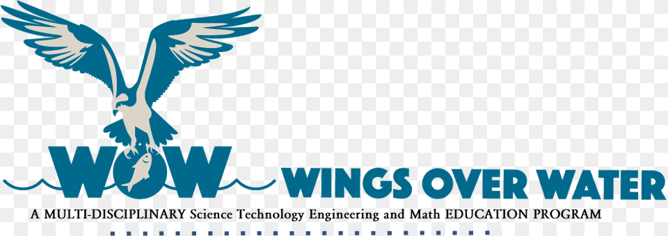 Wings Over Water Logo Poster, Animal, Bird, Flying, Kite Bird Png