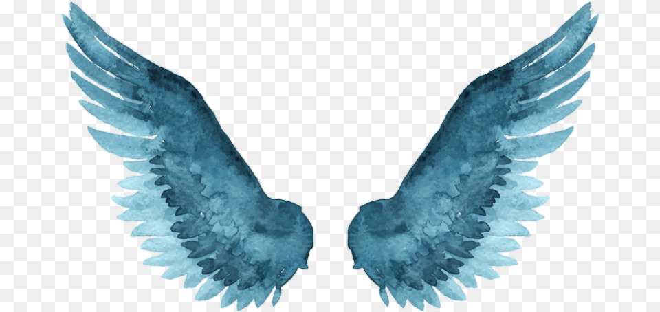 Wings Paint Fly Blue Epic Aesthetic Ily Cute Watercolor Angel Wings, Animal, Fish, Sea Life, Shark Free Png