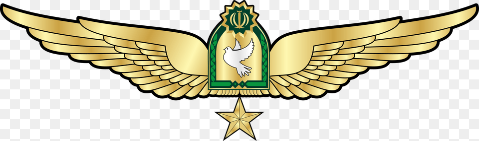 Wings Pilot Cartoon, Emblem, Symbol, Logo, Gold Free Transparent Png