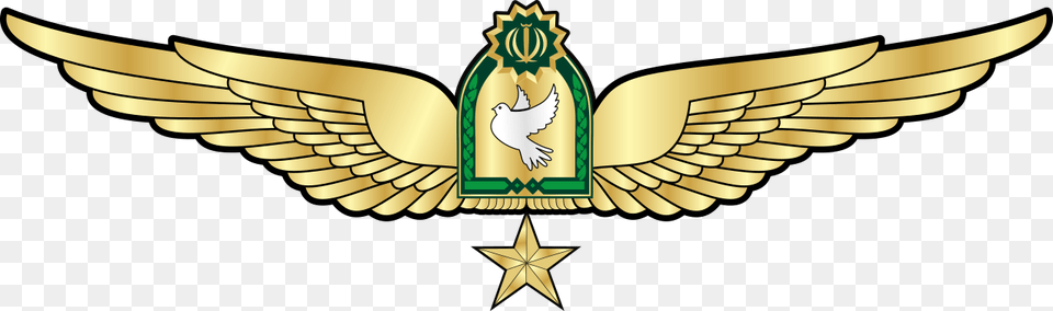 Wings Pilot Cartoon, Emblem, Symbol, Logo, Gold Png