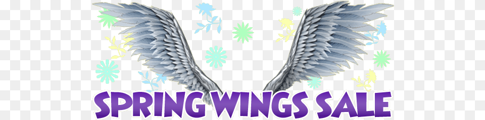 Wings Sale Language, Animal, Bird Free Png Download