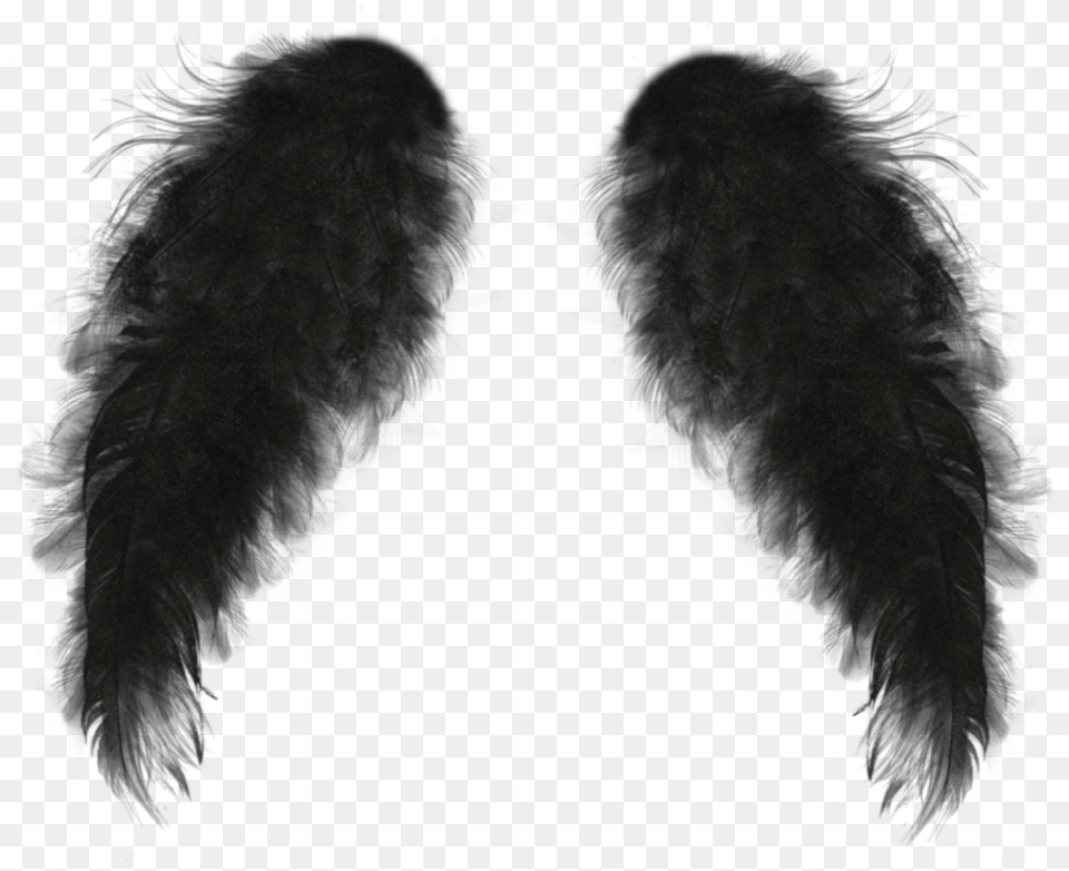 Wings Sticker Monochrome, Animal, Bird Png Image