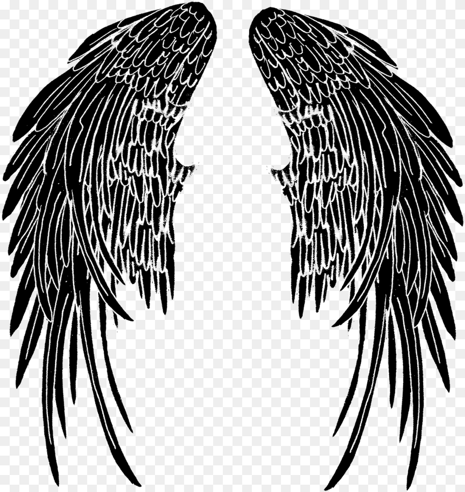 Wings Tattoo Pic Angel Wings Tattoo, Animal, Bird, Art Png