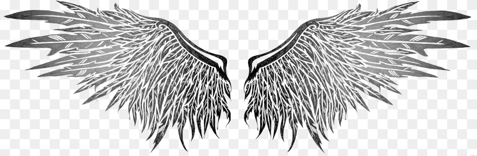 Wings Tattoos Image Dark Angel Wings Drawing, Art, Accessories, Animal, Bird Free Png