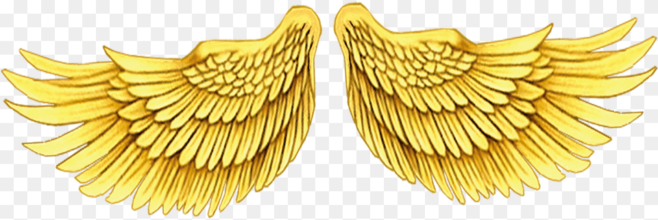 Wings Background Golden Wings, Gold, Animal, Bird, Symbol Free Transparent Png