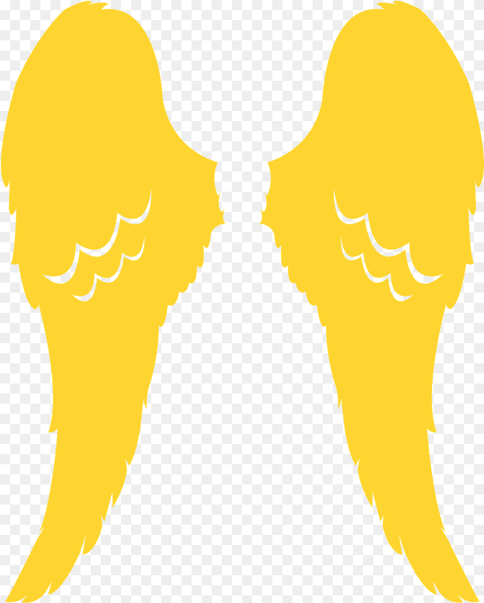 Wings Vector, Head, Person, Face, Logo Png