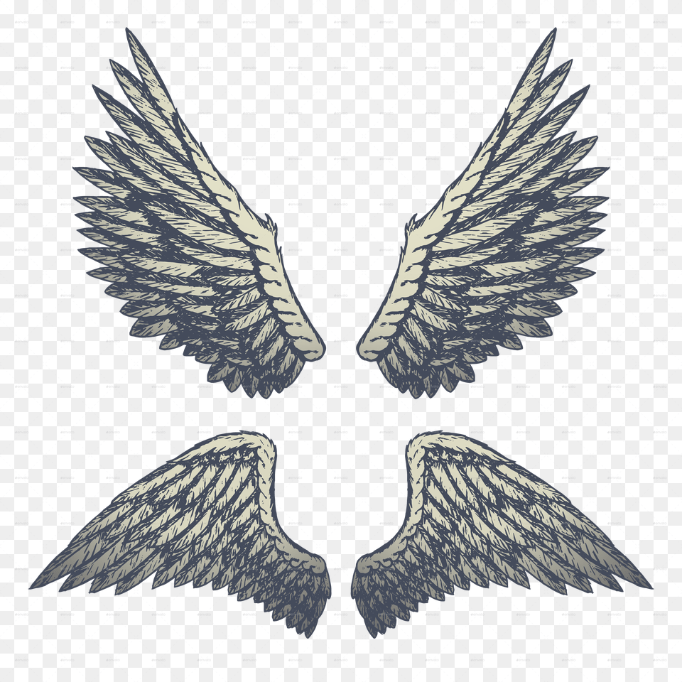 Wings Vector Cartooning, Emblem, Symbol, Animal, Bird Free Png Download