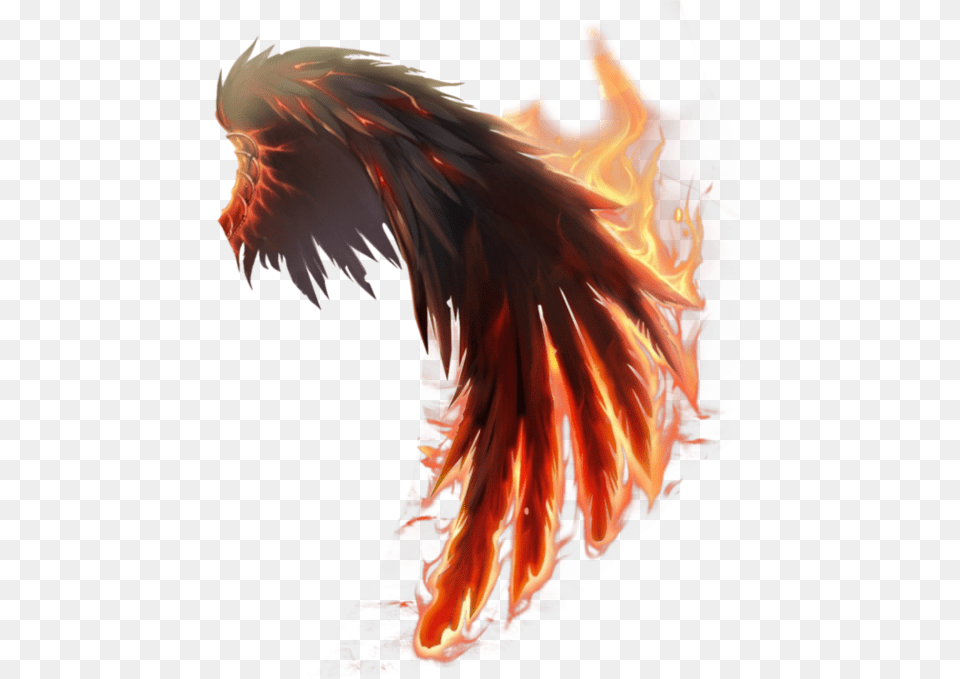 Wings What Gif Online Wings Of Fire, Bonfire, Dragon, Flame Free Transparent Png