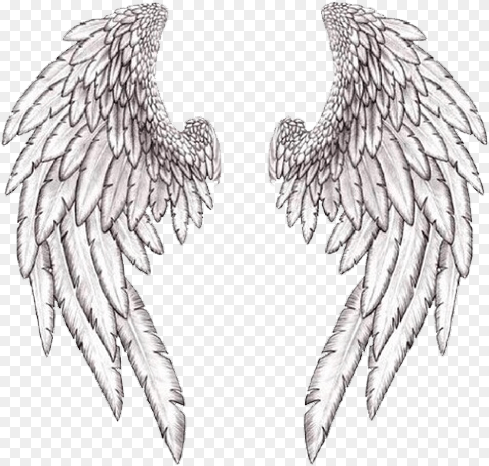 Wings Wing Angle Freetoedit Guardian Angel Wings, Animal, Bird Png Image