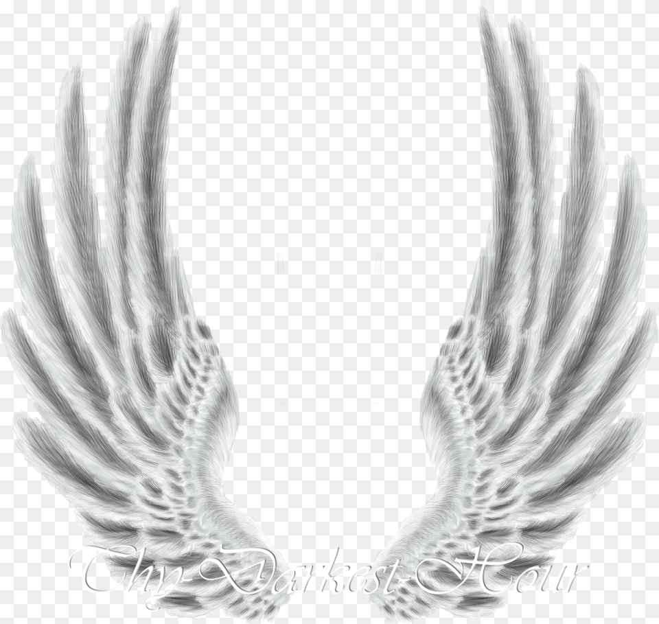 Wings Wings For Photoshop, Electronics, Hardware, Person, Animal Png