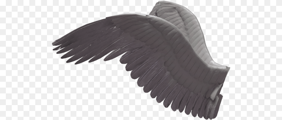 Wings Wings From The Side, Animal, Bird, Flying, Vulture Free Png