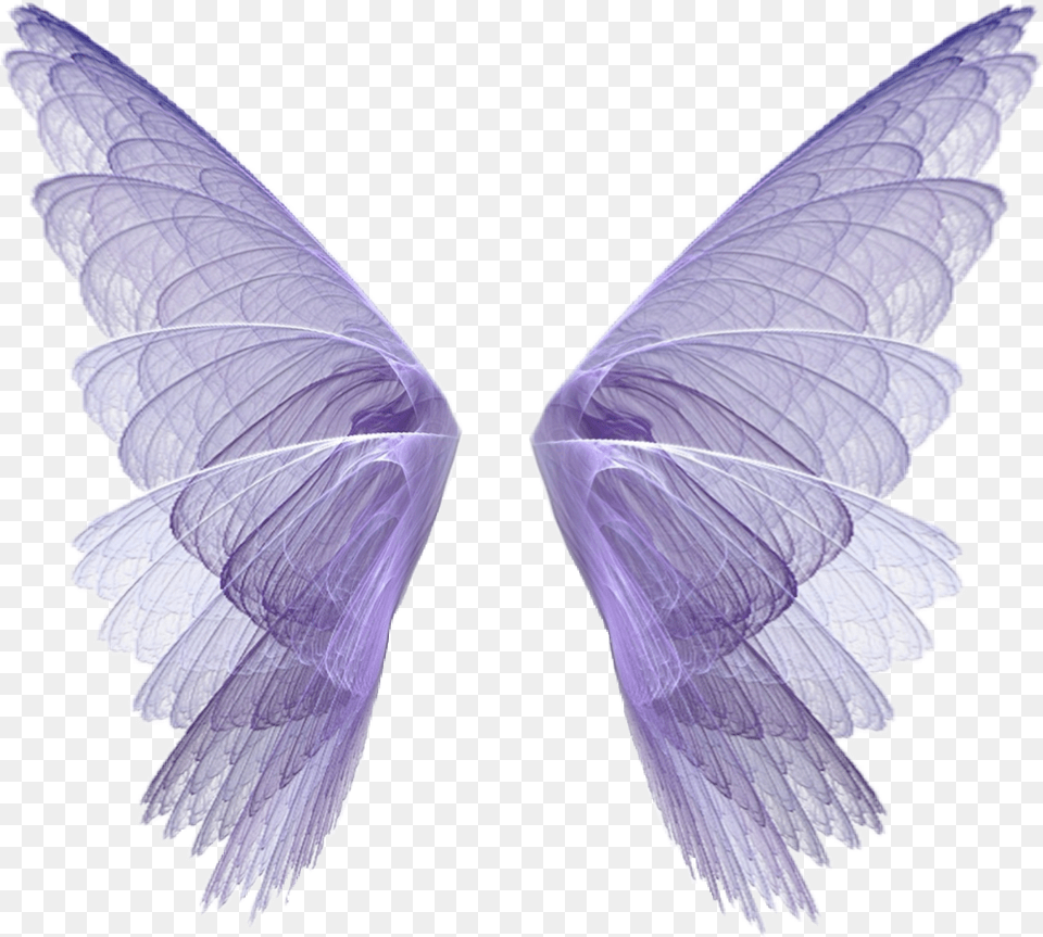 Wingsart Wings Scwings Fairytale Fantasy Fairy Fairy Wings, Plant Free Transparent Png