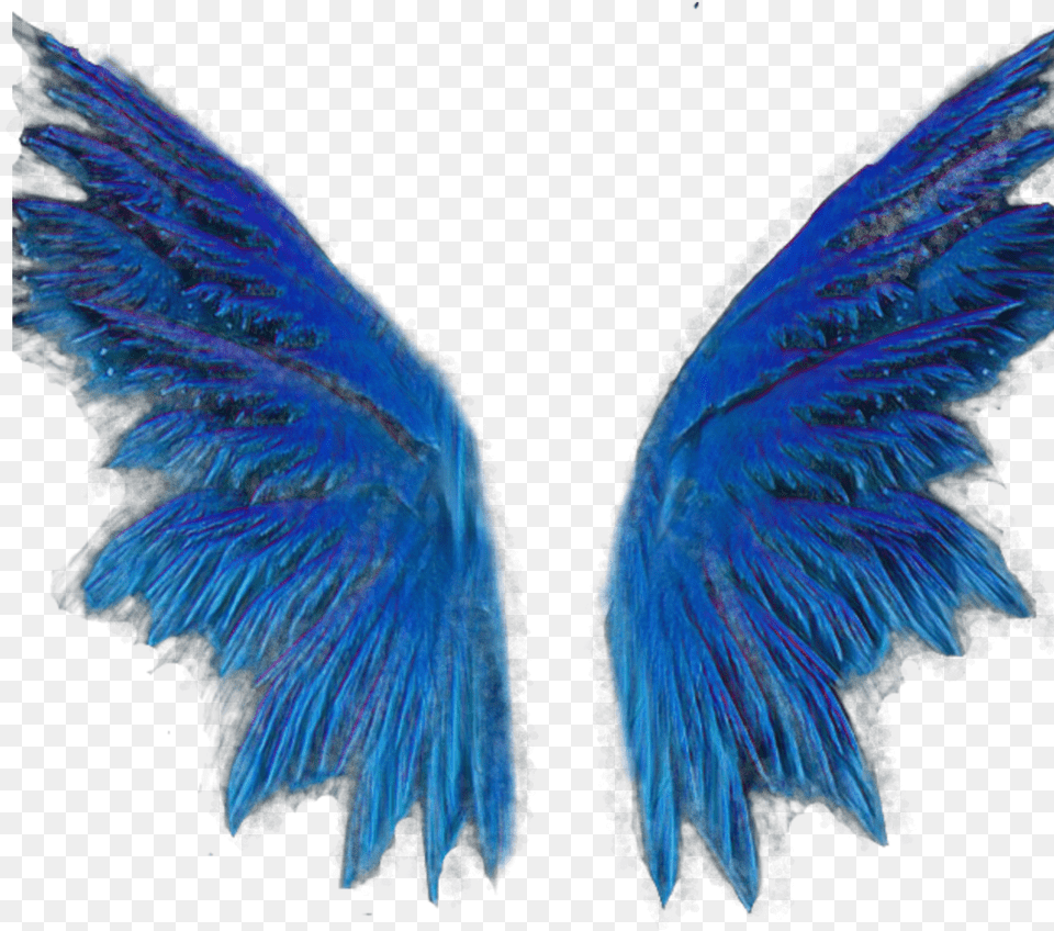 Wingsbts Blue Wings Wing Golden, Accessories, Jewelry, Animal, Bird Png Image