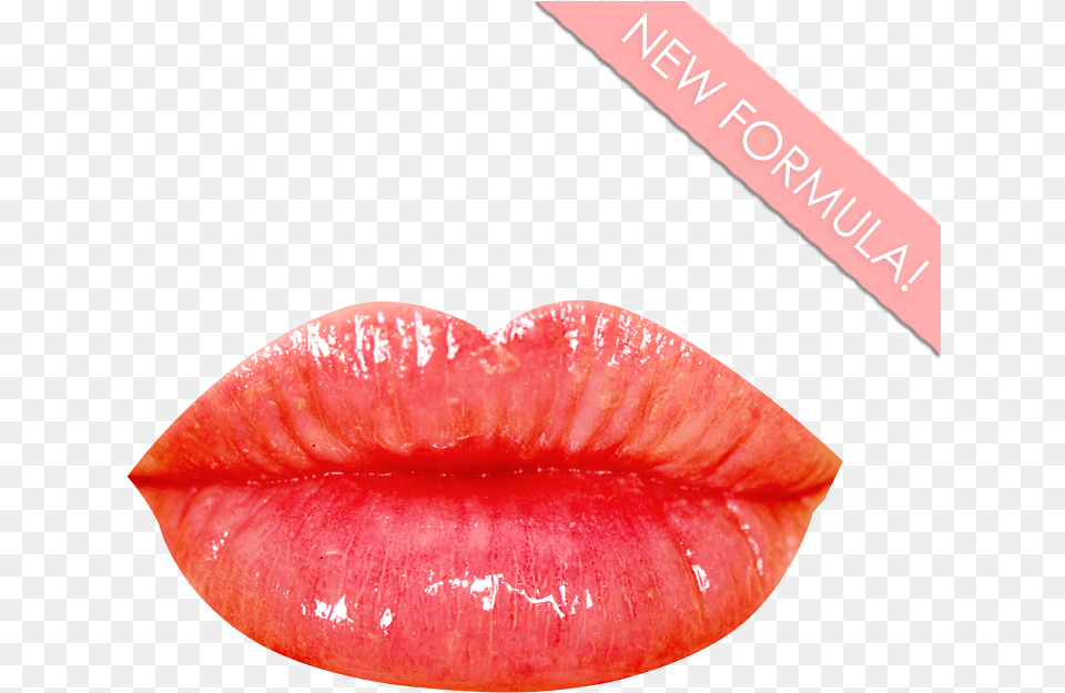 Winky Lux Glossy Boss American Pie, Body Part, Mouth, Person, Cosmetics Free Png
