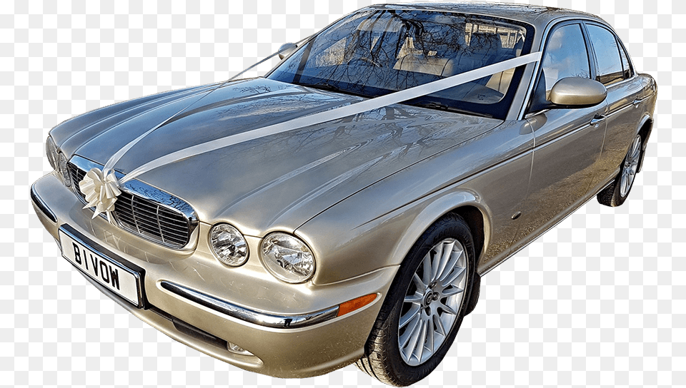Winnie Our Modern Champagne Gold Jaguar Xj Executive Executive Car, Alloy Wheel, Wheel, Vehicle, Transportation Free Transparent Png