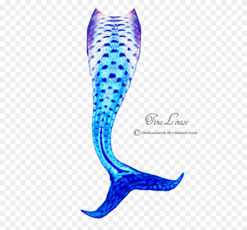 Winsome Mermaid Tail Mermaid Tail Monogram Seashell Monogram, Animal, Fish, Sea Life Png Image