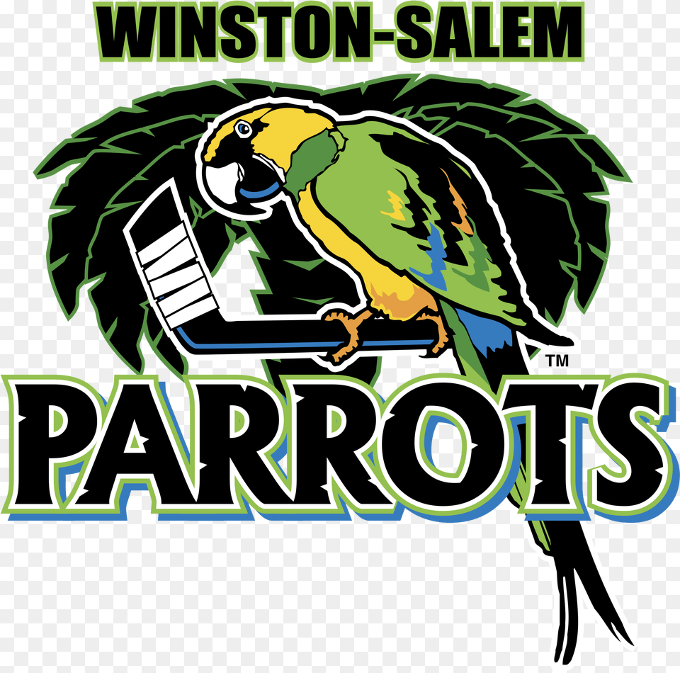Winston Salem Parrots Logo Transparent U0026 Svg Vector Logo, Animal, Zoo, Bird, Parrot Free Png Download