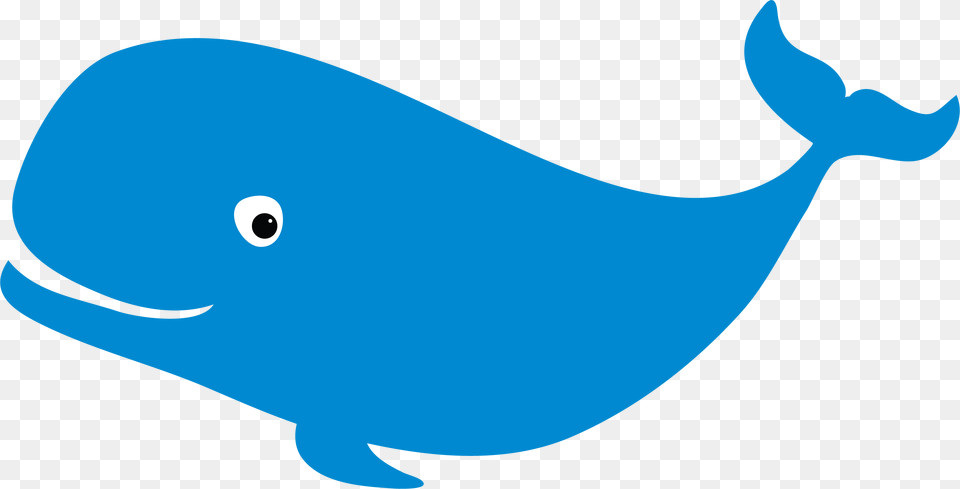Winston The Whale S Wacky Strokes Winston The Whale, Animal, Mammal, Sea Life, Beluga Whale Png