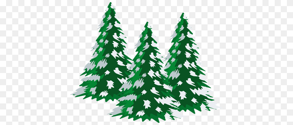 Winter, Tree, Plant, Fir, Pine Free Transparent Png