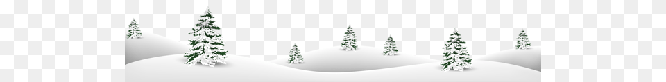 Winter, Fir, Pine, Plant, Tree Free Png Download