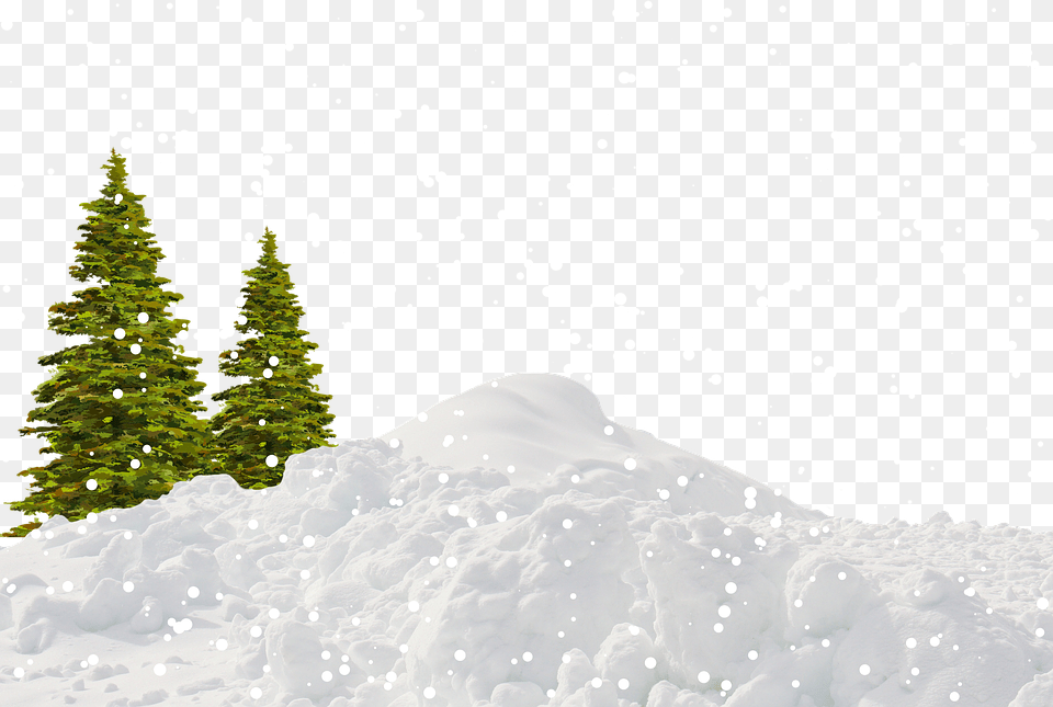 Winter, Fir, Plant, Tree, Pine Png