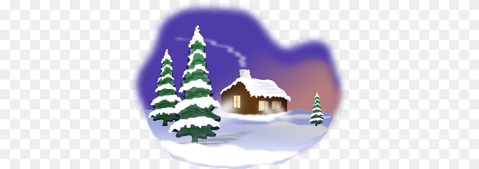 Winter Plant, Tree, Fir, Christmas Free Transparent Png
