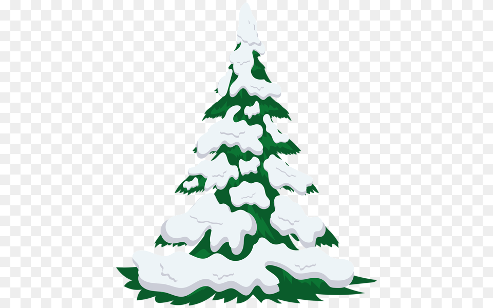 Winter, Tree, Plant, Fir, Wedding Free Png Download