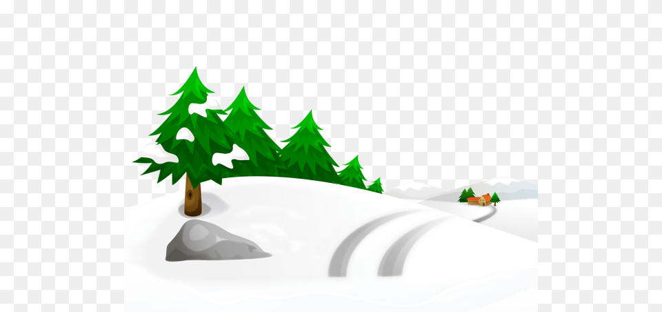 Winter, Green, Plant, Tree, Outdoors Free Transparent Png