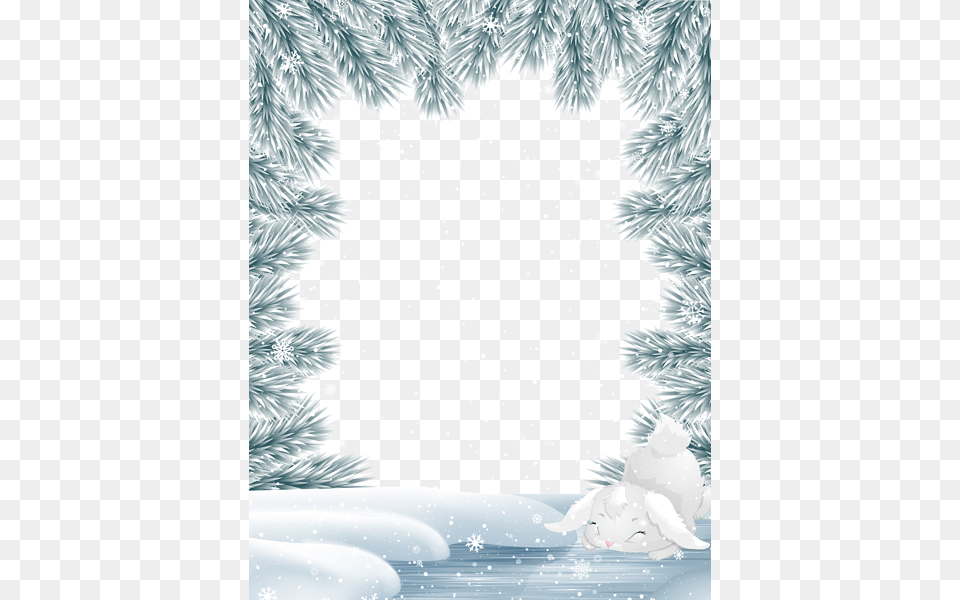 Winter, Plant, Tree, Ice, Outdoors Free Png Download