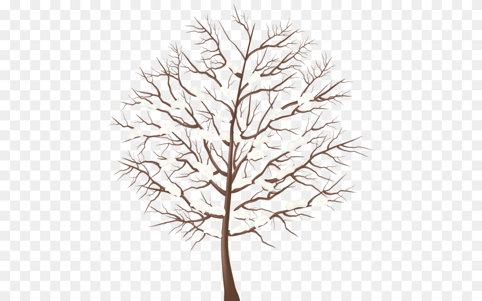 Winter, Plant, Tree, Art, Lamp Free Transparent Png