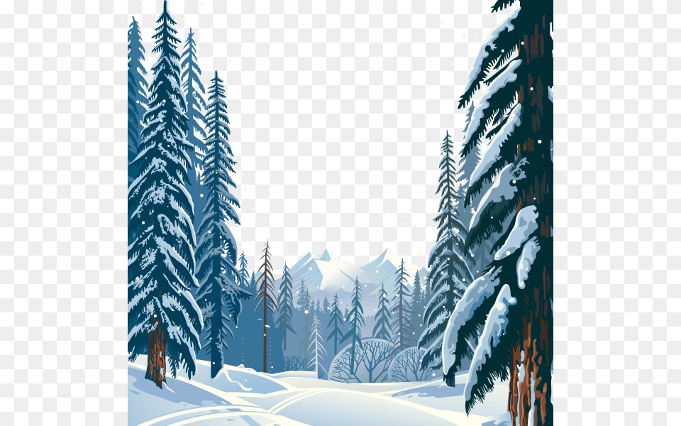 Winter, Plant, Tree, Scenery, Fir Free Transparent Png