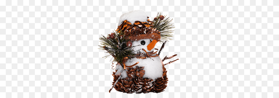 Winter Nature, Outdoors, Snow, Snowman Free Png Download