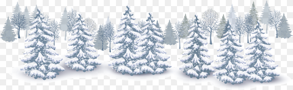 Winter, Pine, Fir, Tree, Plant Free Png Download