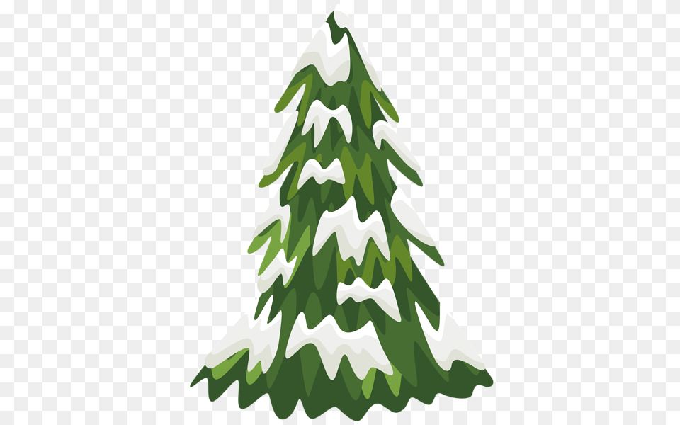 Winter, Tree, Plant, Fir, Pine Free Png Download