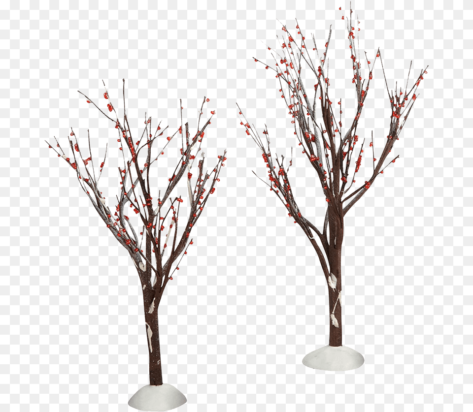 Winter Berry Trees Twig, Flower, Flower Arrangement, Plant, Art Free Transparent Png
