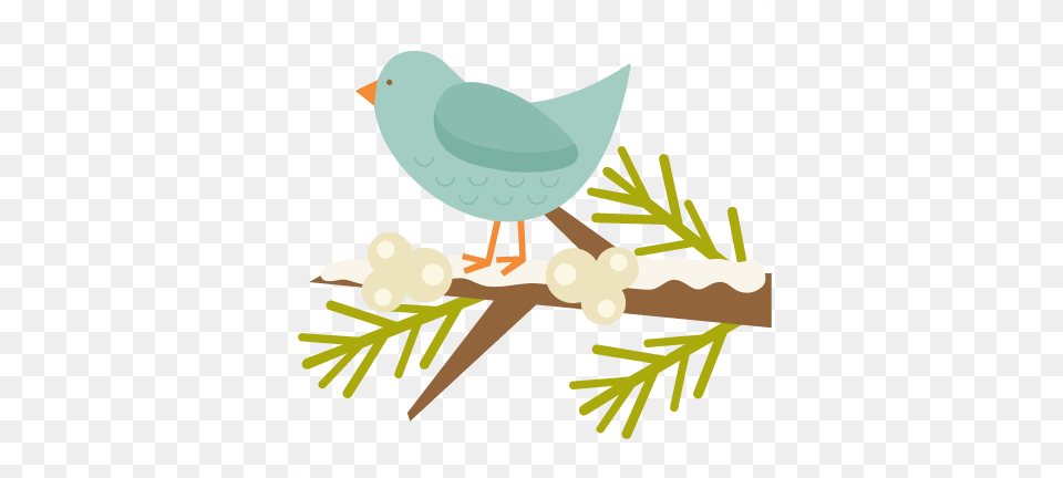 Winter Bird Cliparts, Animal, Finch Free Transparent Png