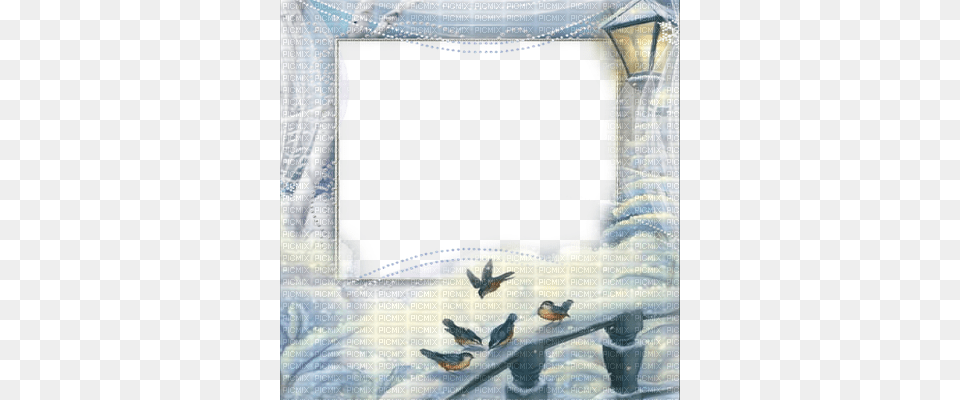 Winter Birds Frame Winter Frame Picmix Picmix, Art, Painting, Animal, Bird Free Transparent Png