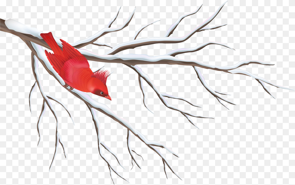 Winter Branch With Bird Clipart Image Winter Branches Clip Art Png
