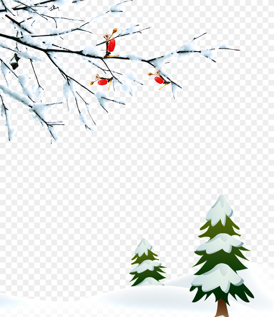 Winter Branches Snow Winter, Leaf, Plant, Tree, Ice Png Image