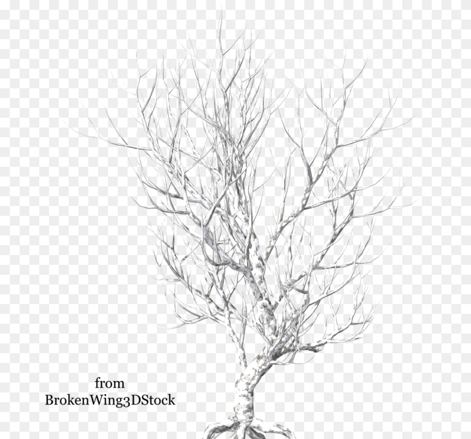 Winter By Brokenwing Dstock Broken Tree Hd, Plant, Potted Plant Png
