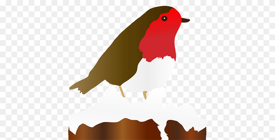 Winter Clipart, Animal, Bird, Finch, Beak Png
