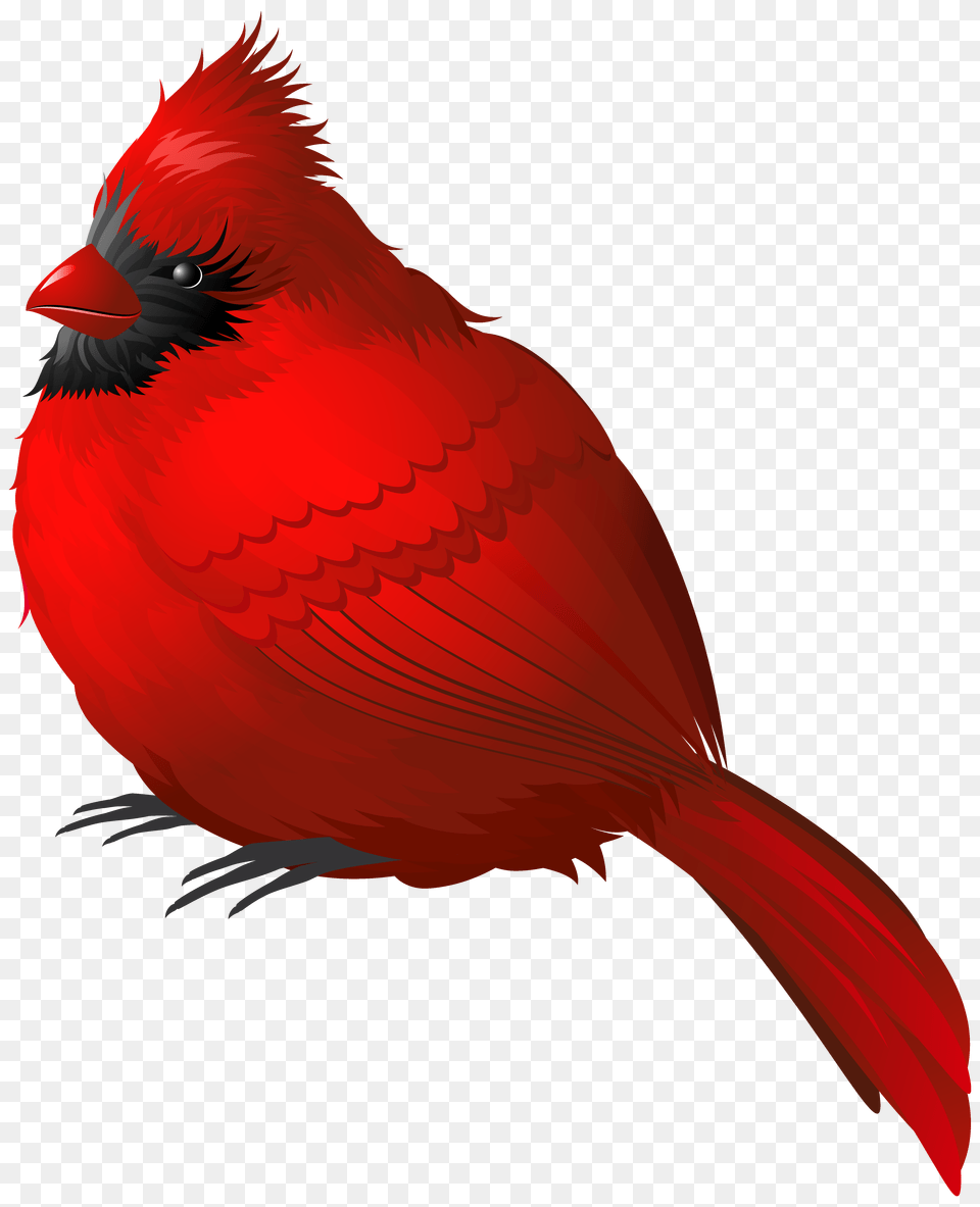 Winter Clipart Bird, Animal, Cardinal Free Png Download