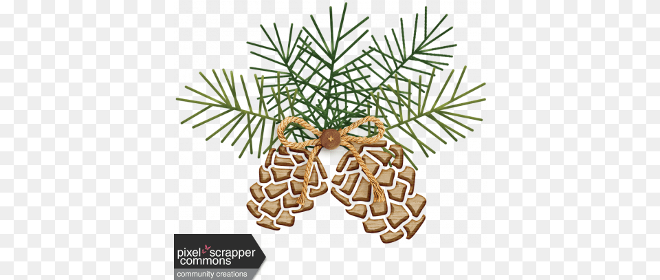 Winter Dreams Of Fox Pinecone01a Digital Scrapbooking, Conifer, Plant, Tree, Fir Free Png