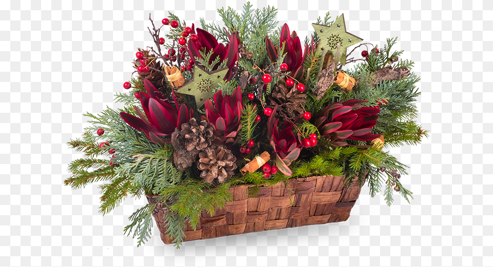 Winter Flower Box Bouquet, Flower Arrangement, Flower Bouquet, Plant, Potted Plant Png Image