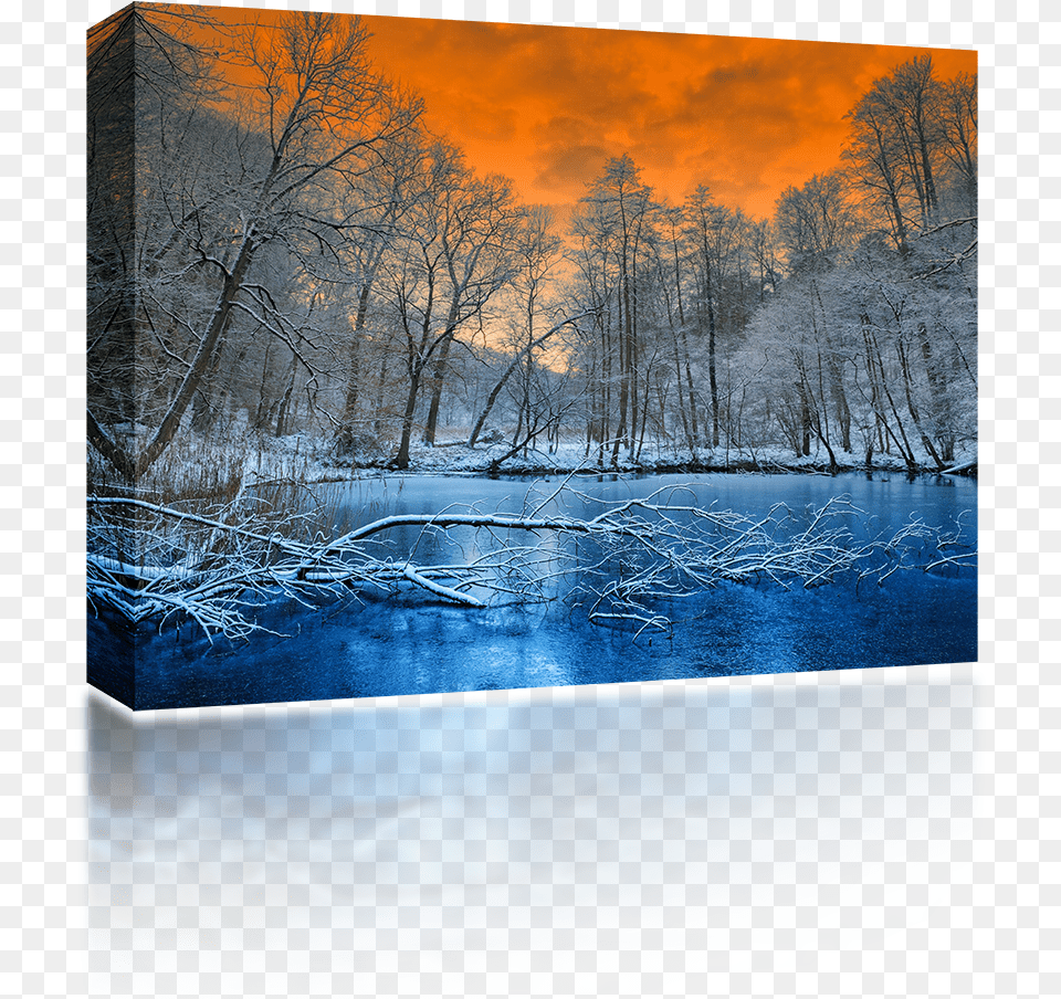 Winter Forest, Weather, Ice, Nature, Outdoors Free Png Download