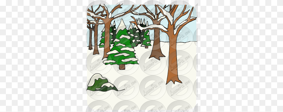 Winter Forest Picture For Classroom Therapy Use Great Winter Forest Clipart, Plant, Tree, Tree Trunk, Vegetation Png Image
