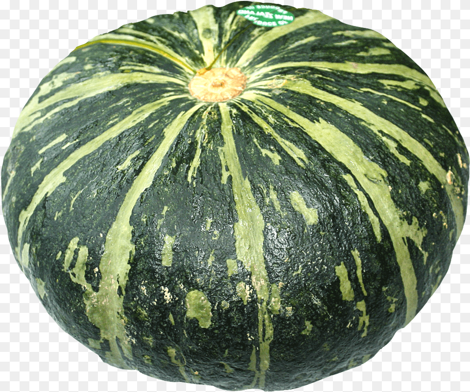 Winter Gourd And Melon Squashfruitfigleaf Gourdproducevegetarian Pumpkin Images Hd, Food, Produce, Plant, Fruit Png Image